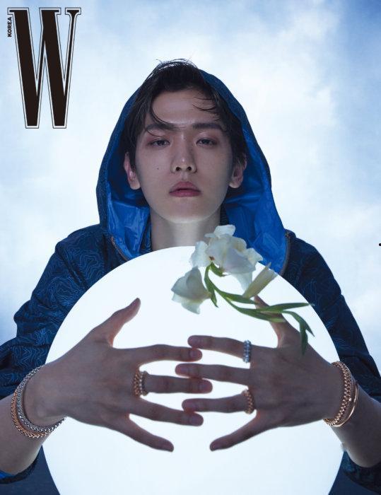 伯贤最新爆料,新作品背后的故事与灵感来源